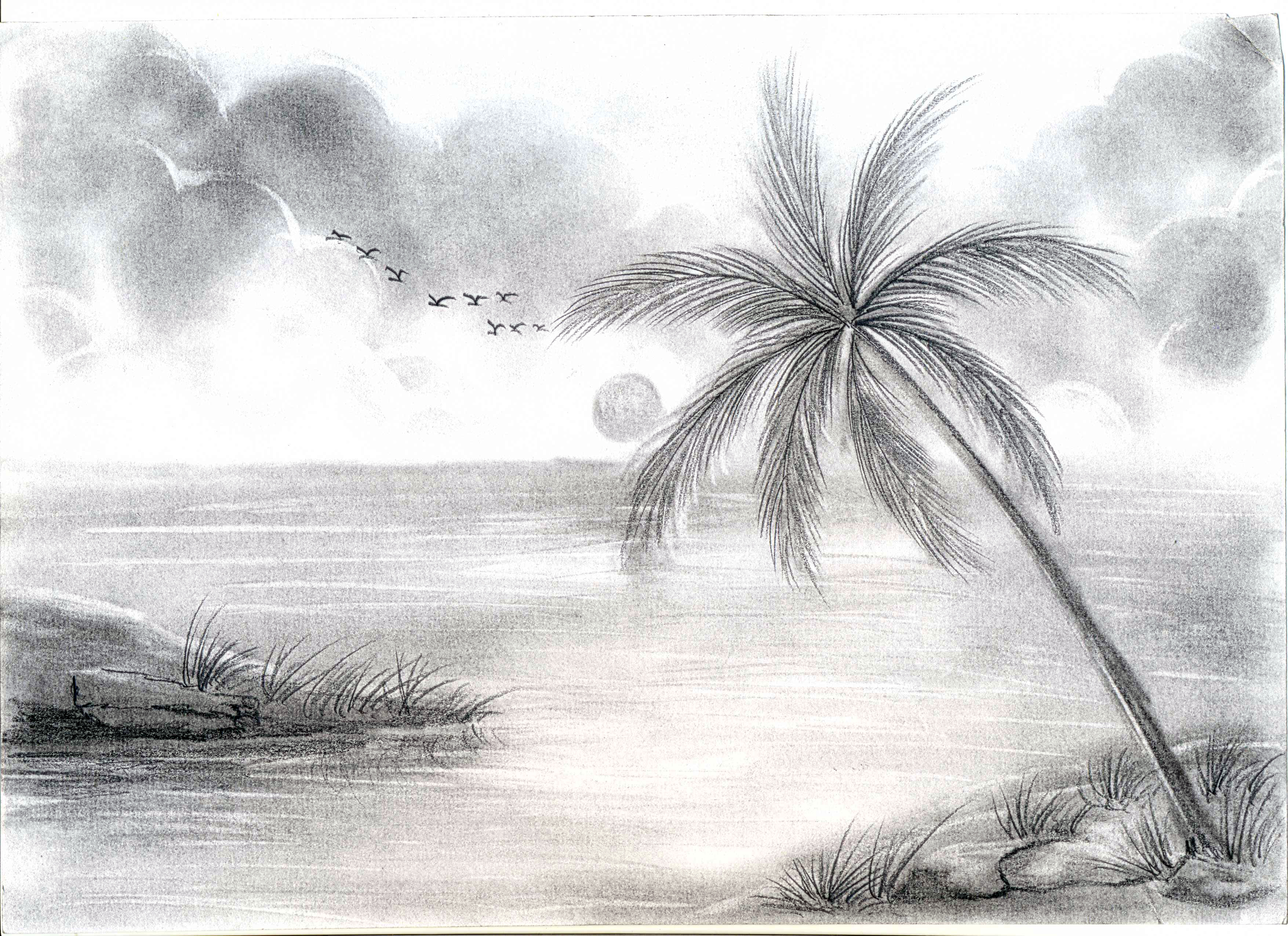 Featured image of post Nature Pencil Drawing For Kids